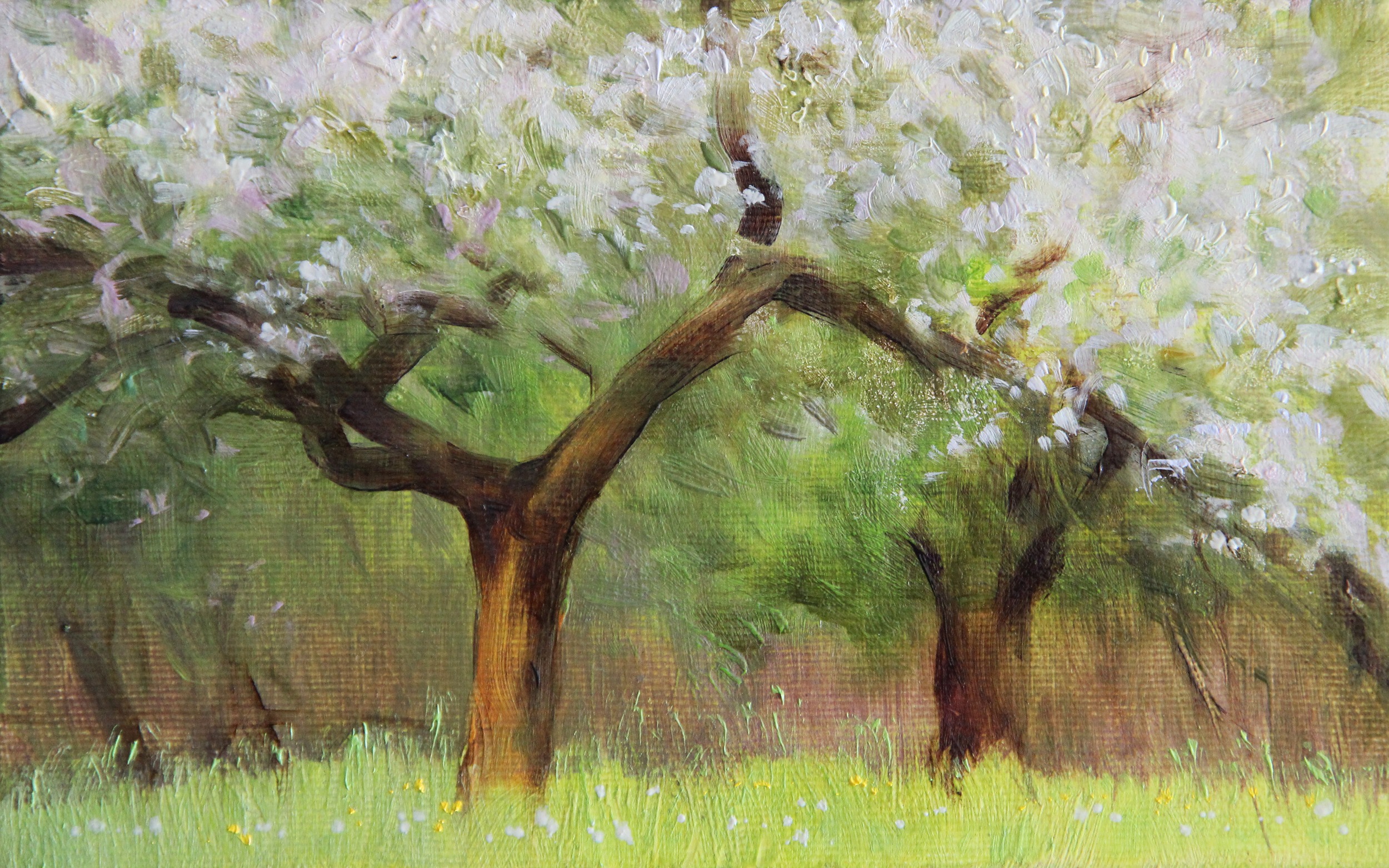 W SADZIE olej, płótno, 14×22 2020