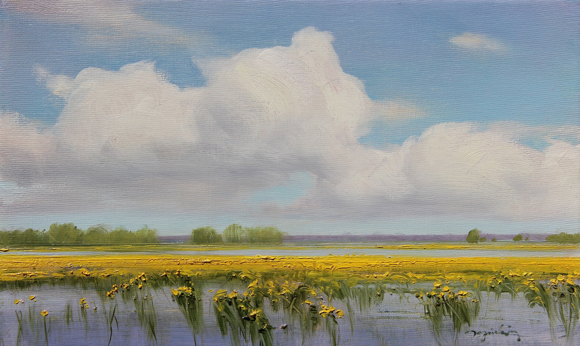NAD BIEBRZĄ olej, płótno, 20x33cm 2020