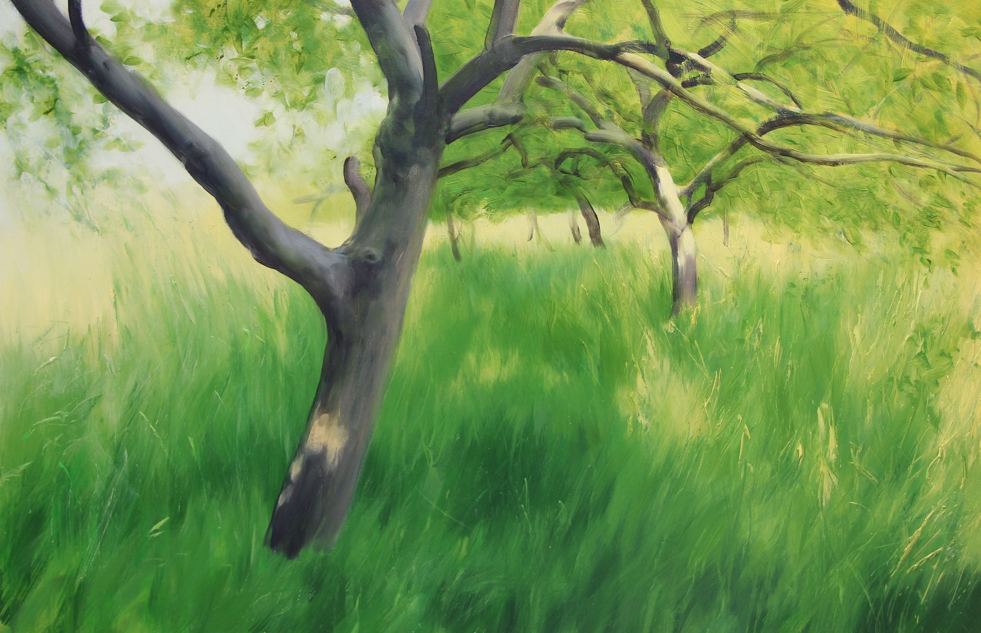 W SADZIE olej, płótno, 52×80 cm 2020