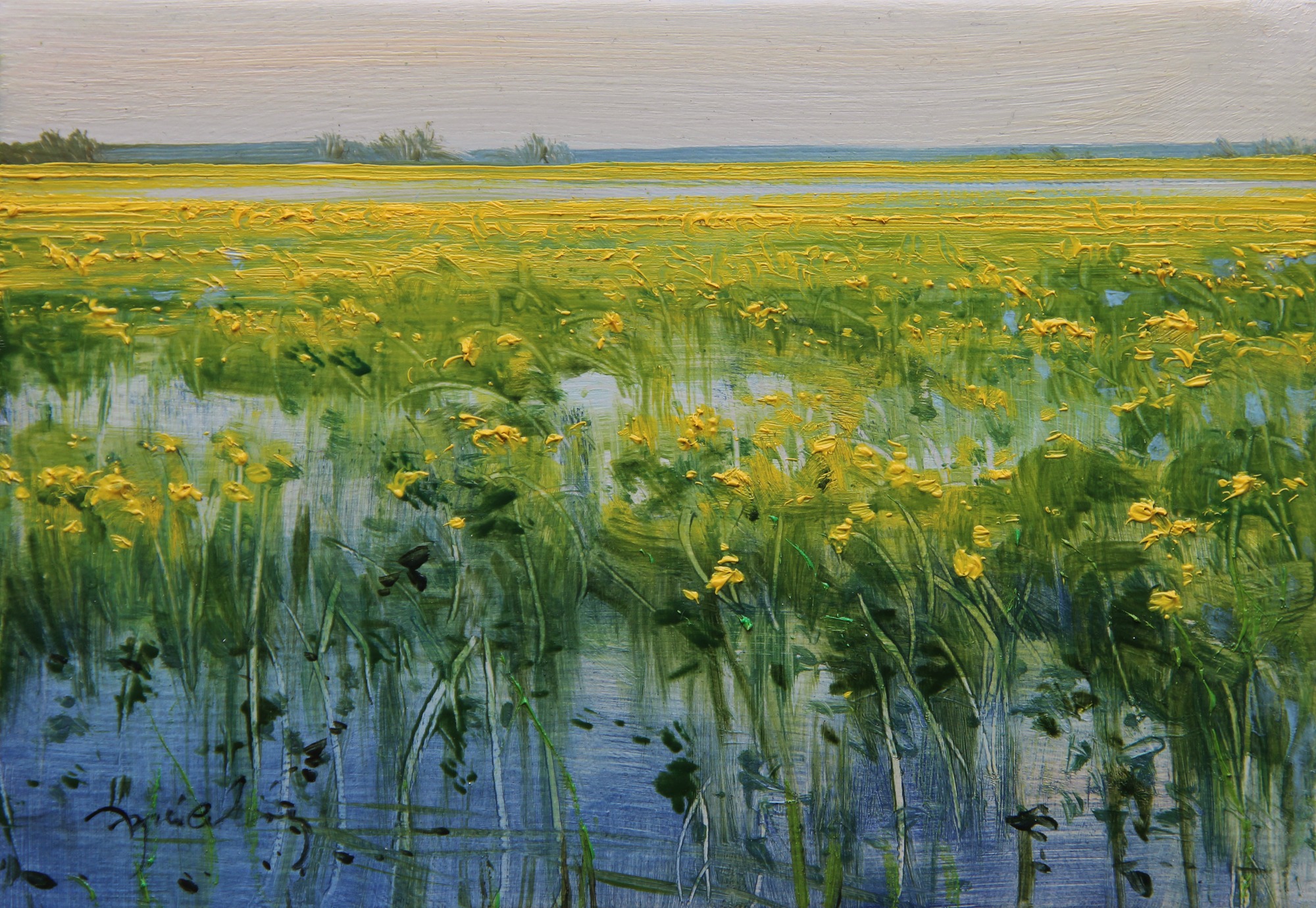 KACZEŃCE NAD BIEBRZĄ olej, płótno, 14×20 2021