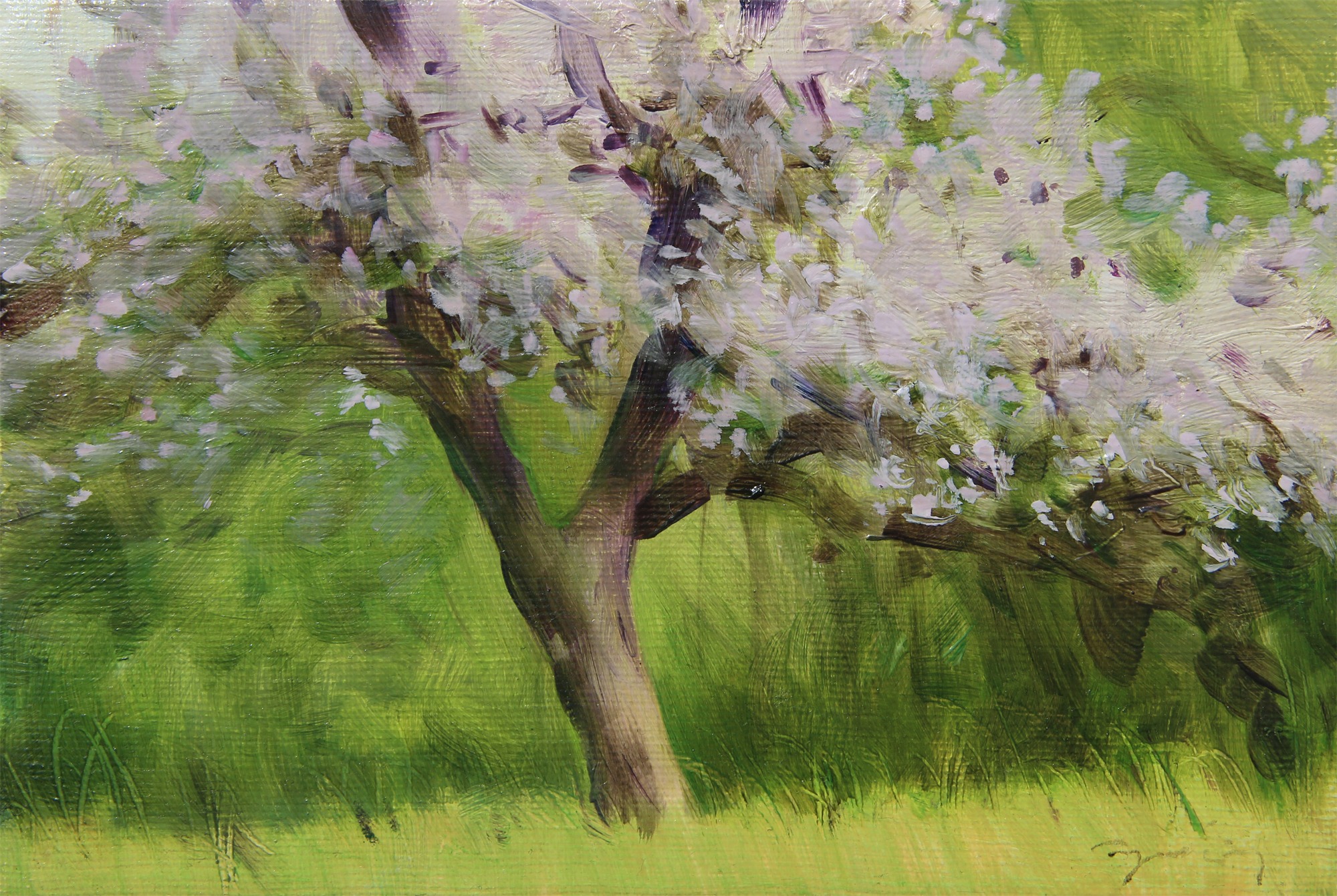 W KWITNĄCYM SADZIE olej, płótno, 15×22 2021
