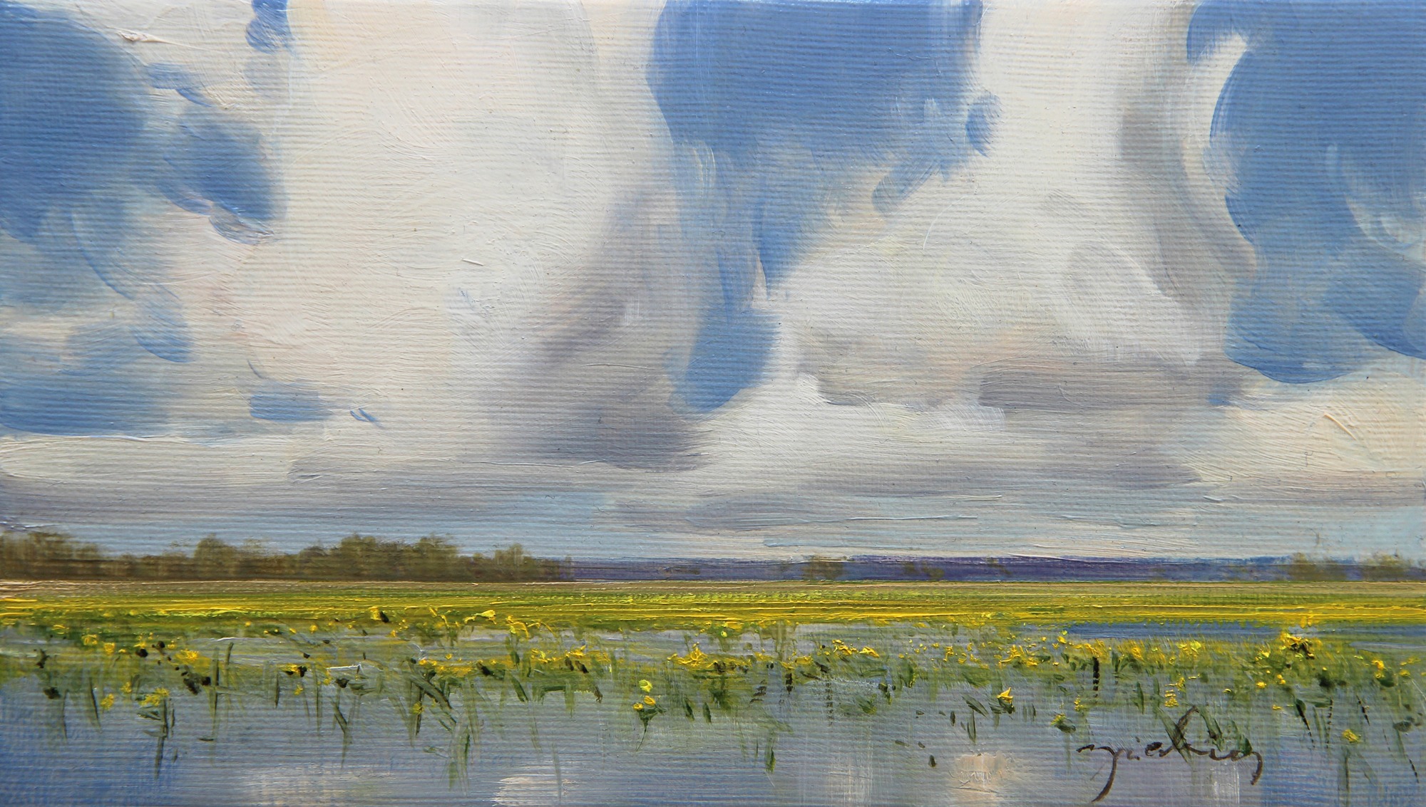 WIOSENNE ROZLEWISKA NAD BIEBRZĄ olej, płótno, 14×24 cm 2021