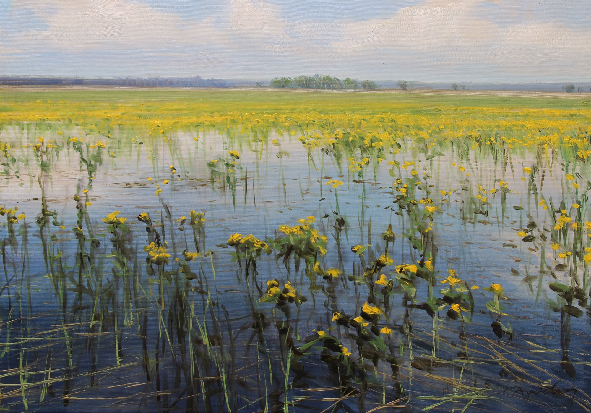 KACZEŃCE W ZAJKACH NAD BIEBRZĄ olej, płótno, 35×50 2021