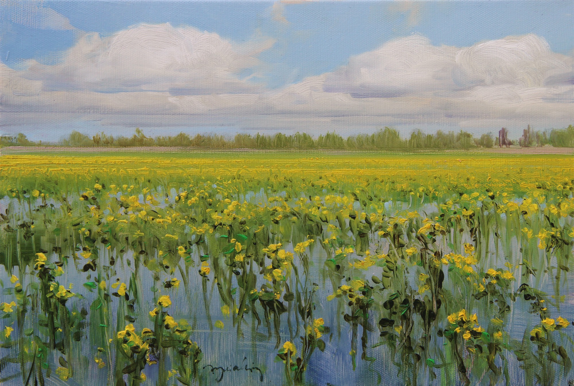KACZEŃCE olej, płótno, 24x35 2021
