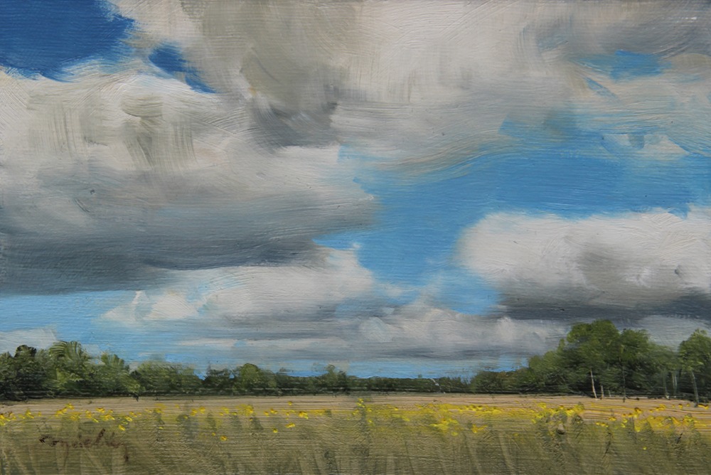 NAWŁOCIE olej, płótno, 16×24 2021