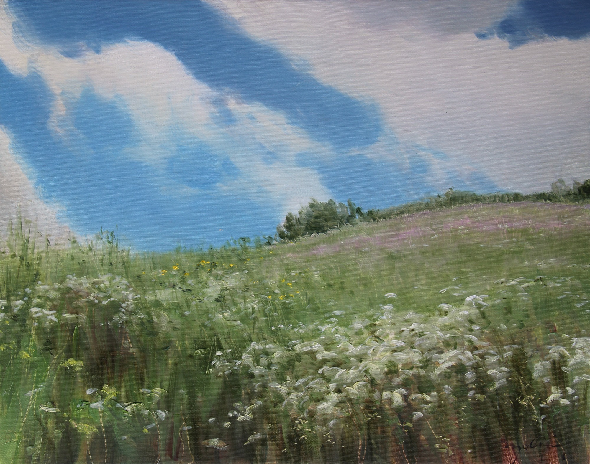 NA ŁĄCE olej, płótno 40x50 cm