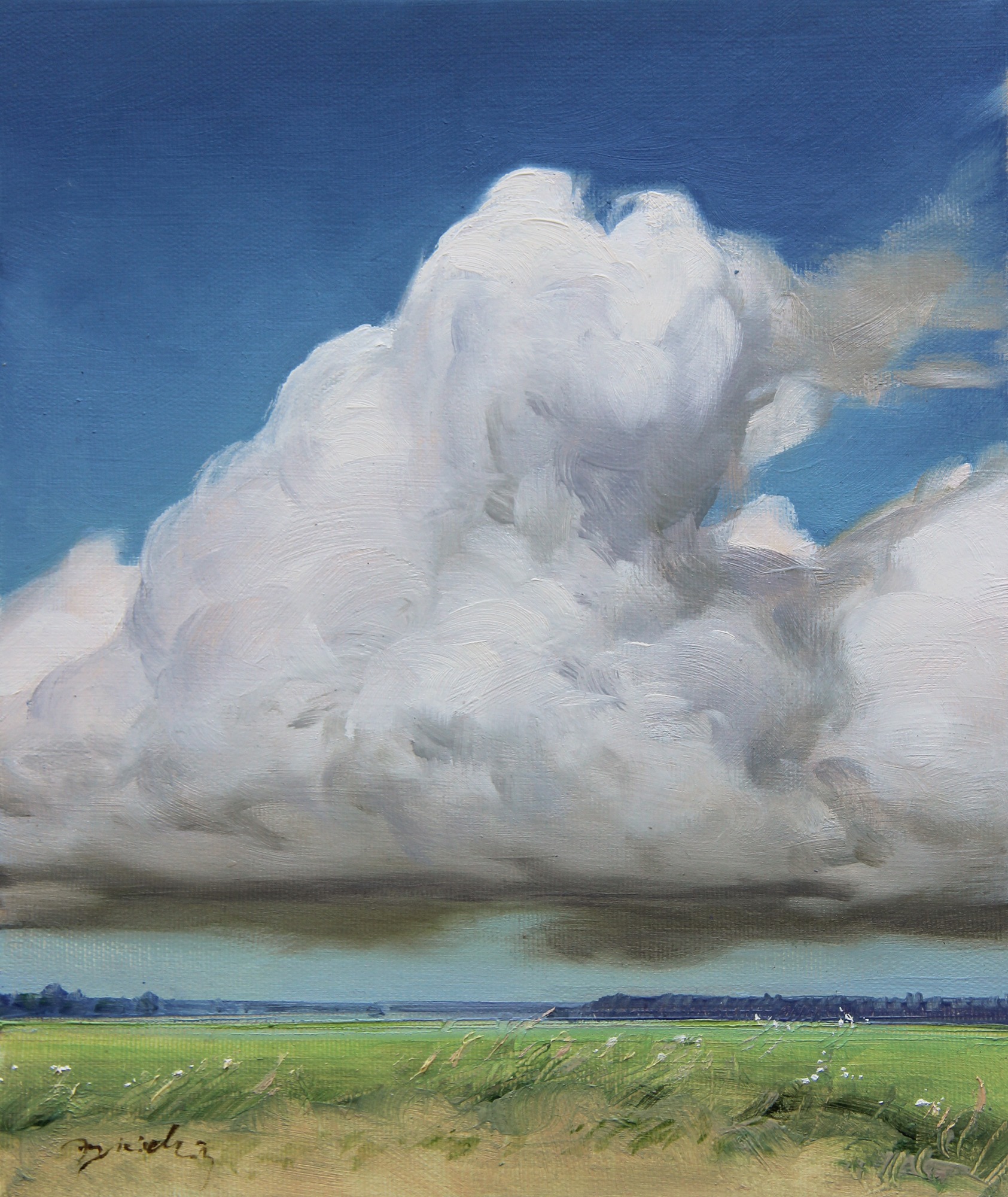 CHMURA NAD ŁĄKĄ 30X25 2022