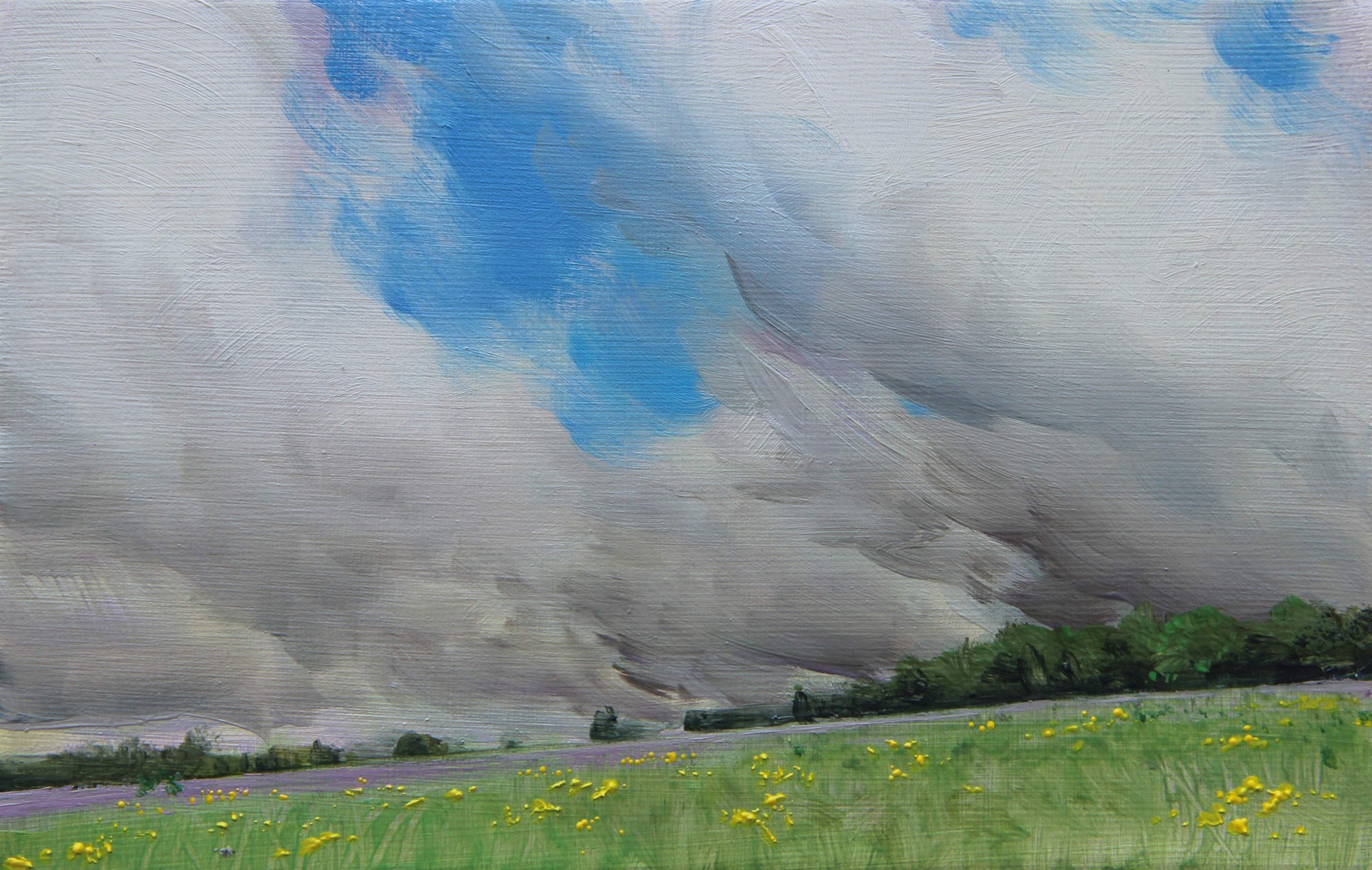 PEJZAŻ Z OKOLIC 16X25 2022